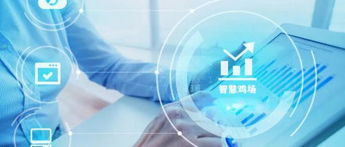 自動化生產與信息技術的深度融合 打造新概念智慧雞場