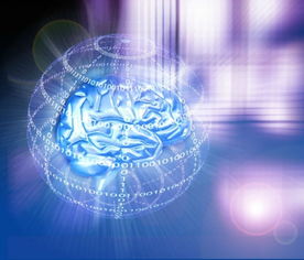 網(wǎng)上數(shù)據(jù)成 法寶 助東南亞企業(yè)發(fā)掘電商商機(jī)