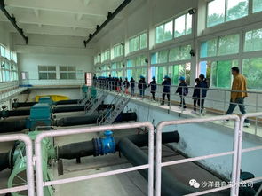 沙洋中小學(xué)生走進(jìn)自來(lái)水廠 體驗(yàn)生產(chǎn)流程 樹立節(jié)水意識(shí)